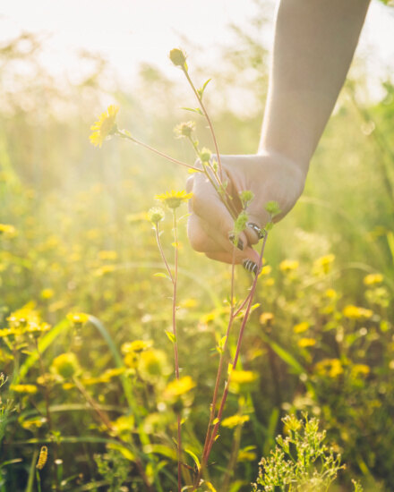 社會：共贏共享